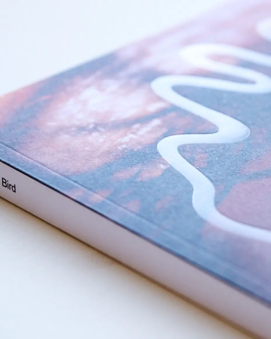 Pray to Be A Bird image 10