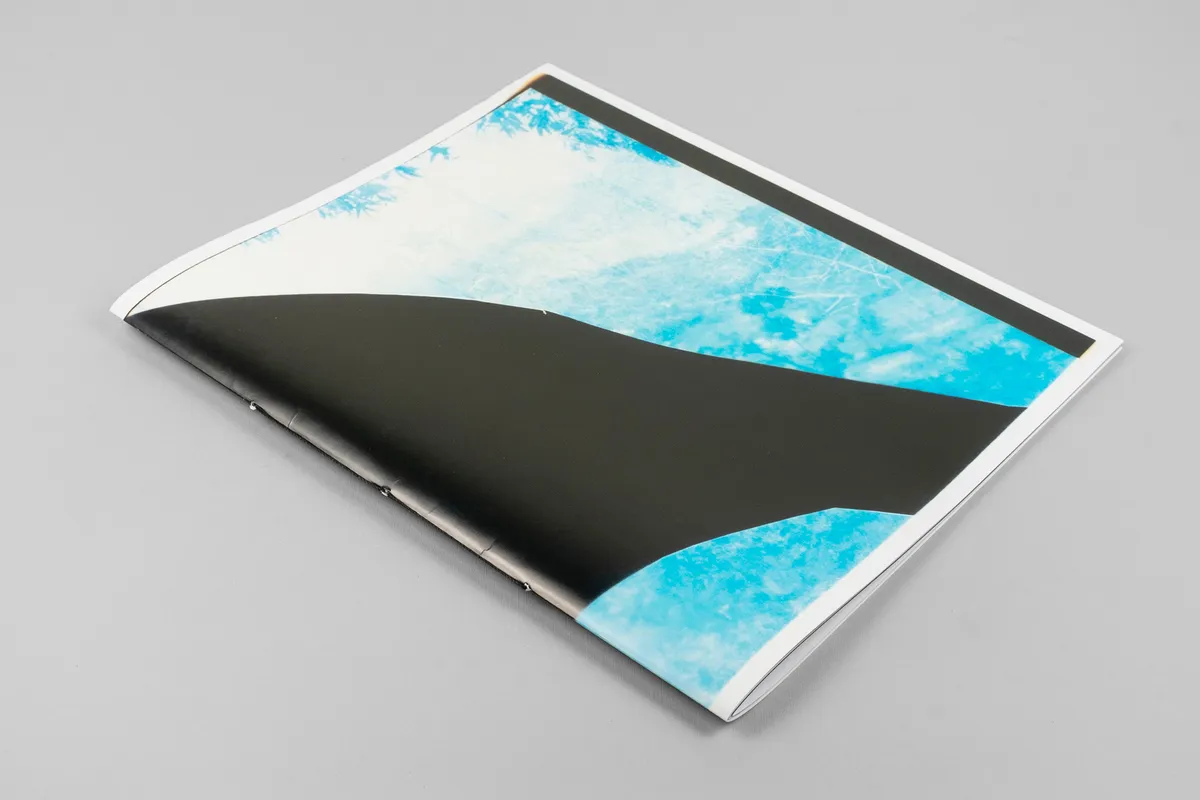 Constructed Landscapes: Addendum