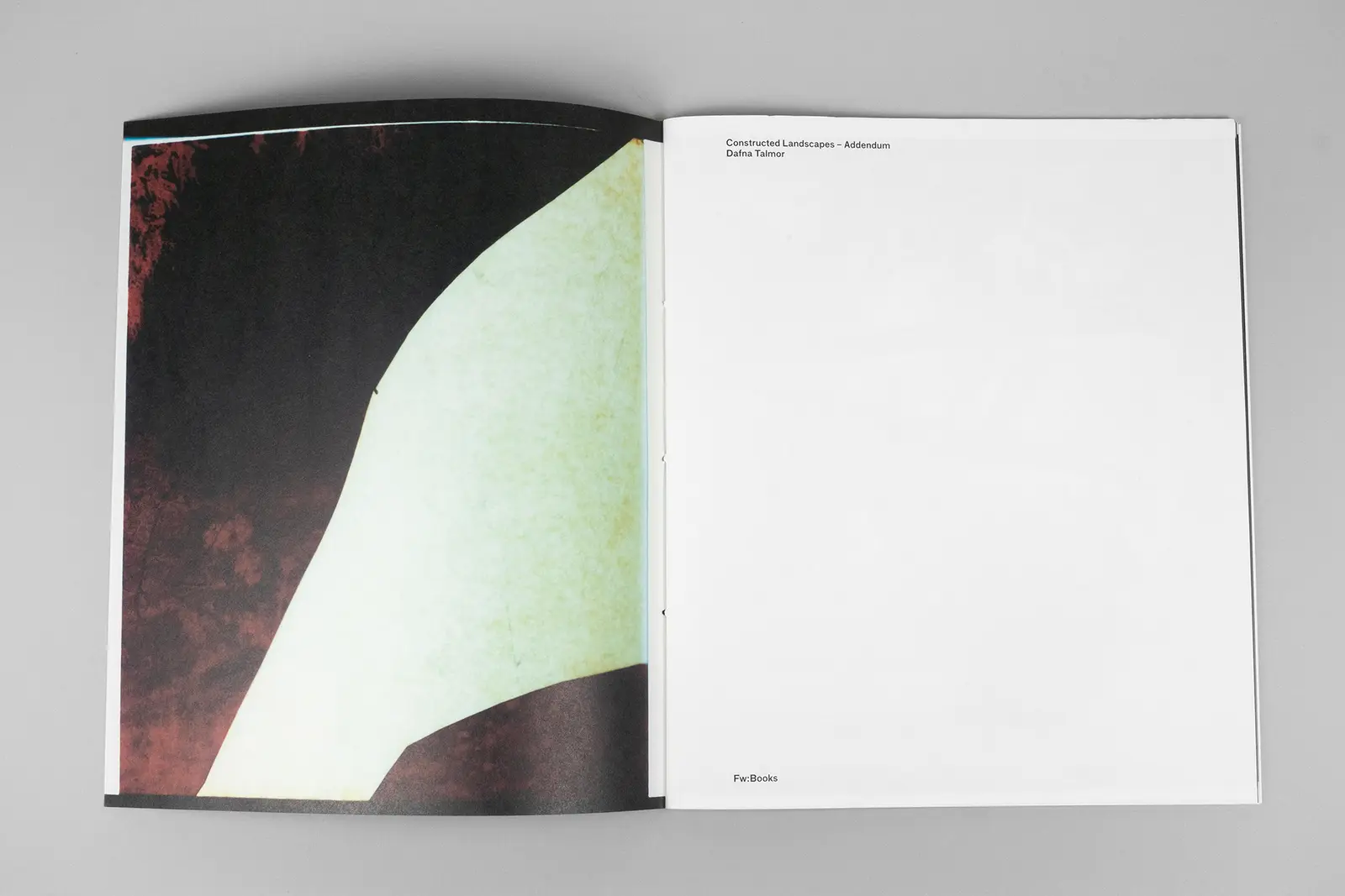 Constructed Landscapes: Addendum image 2