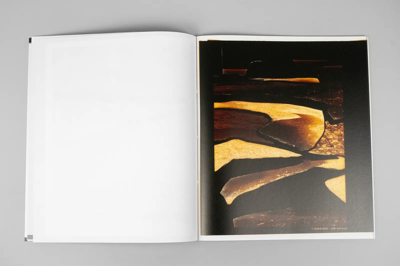 Constructed Landscapes: Addendum image 5