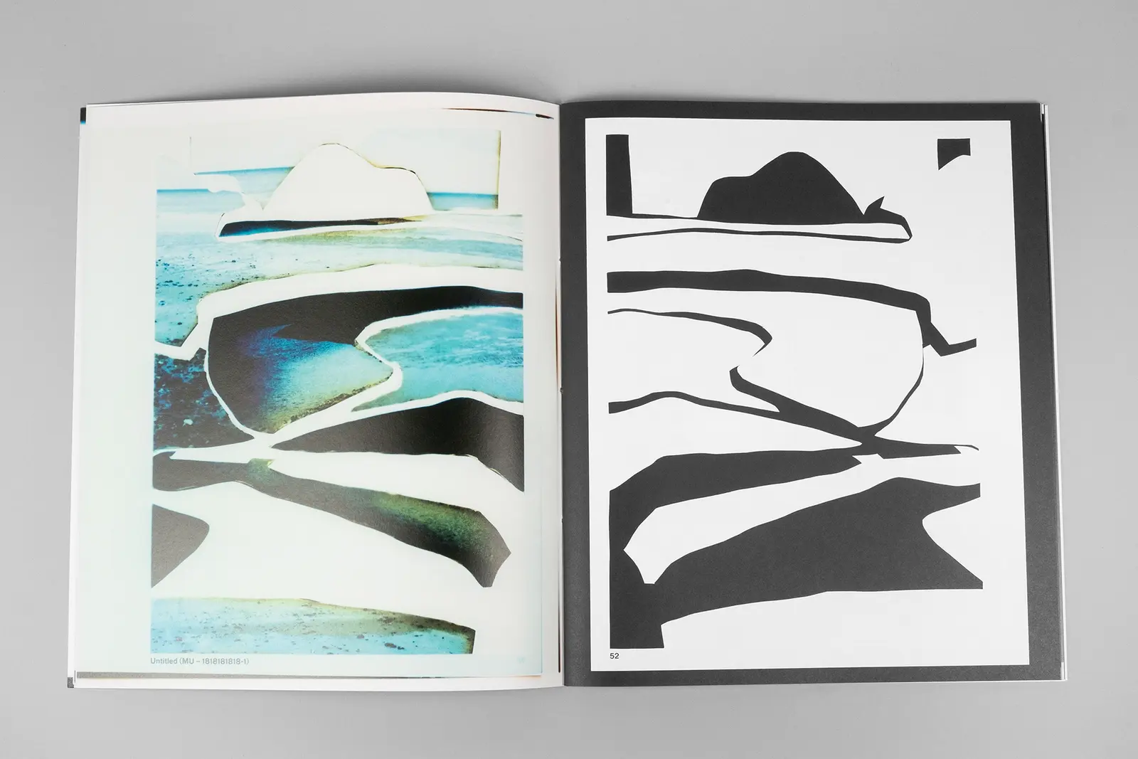 Constructed Landscapes: Addendum image 6