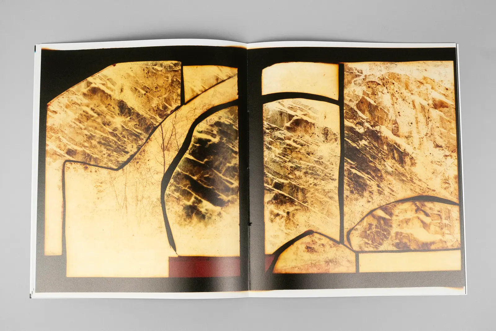 Constructed Landscapes: Addendum image 7