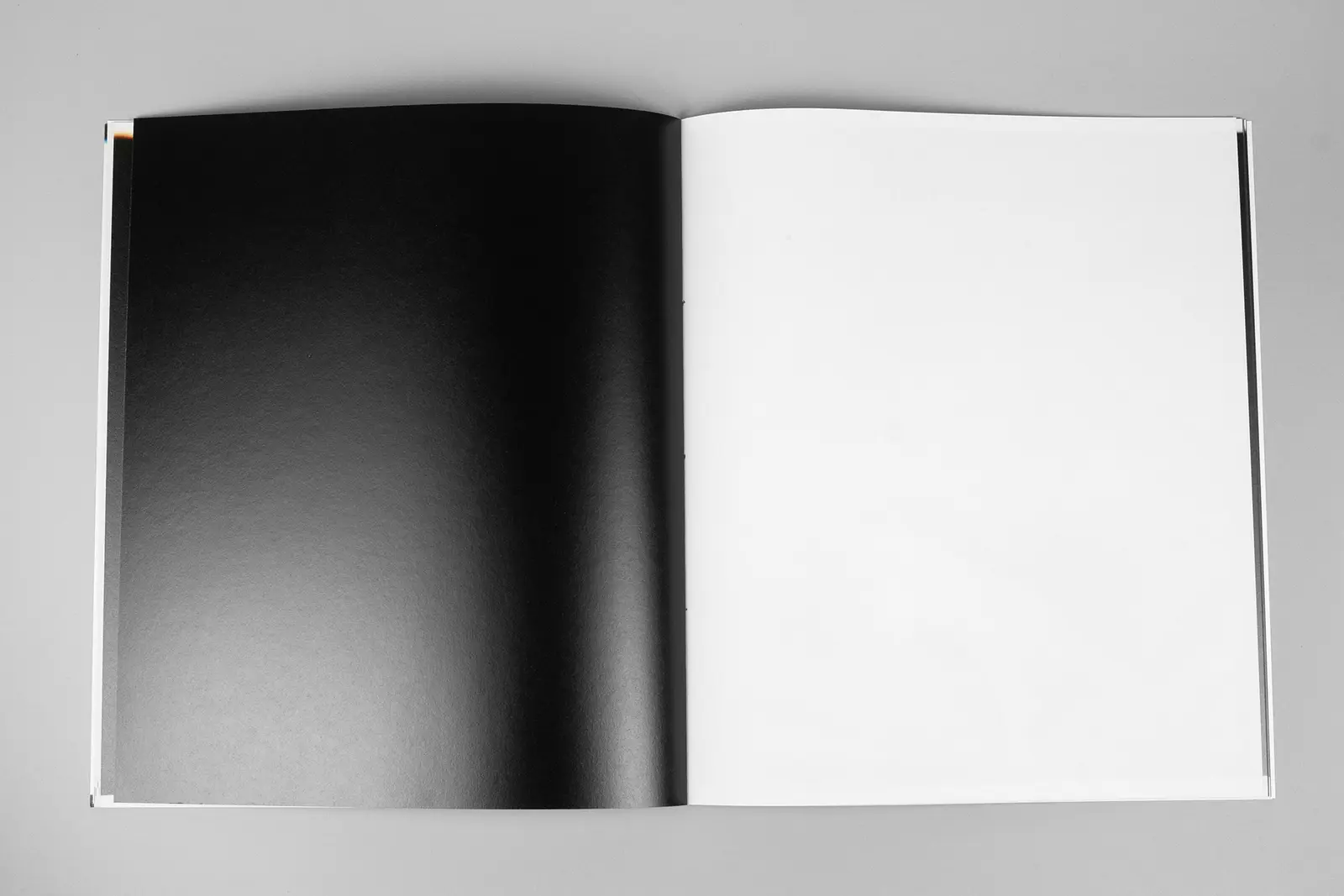 Constructed Landscapes: Addendum image 8