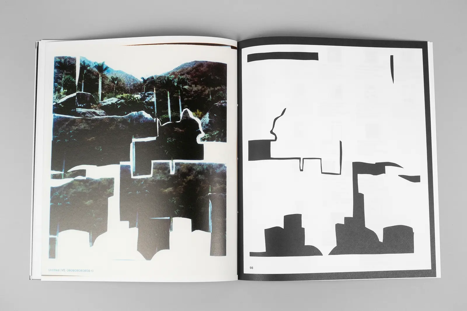 Constructed Landscapes: Addendum image 9