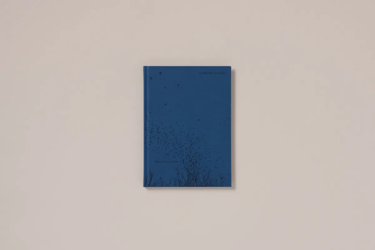 A Difficulty Is a Light