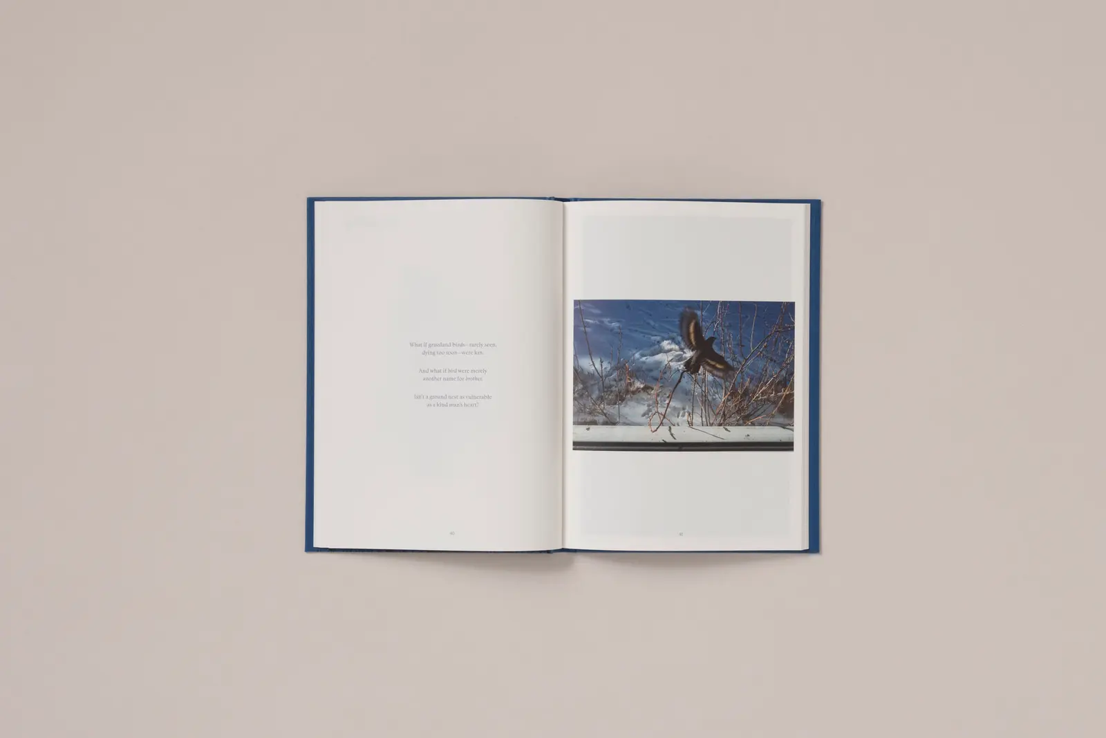 A Difficulty Is a Light image 9