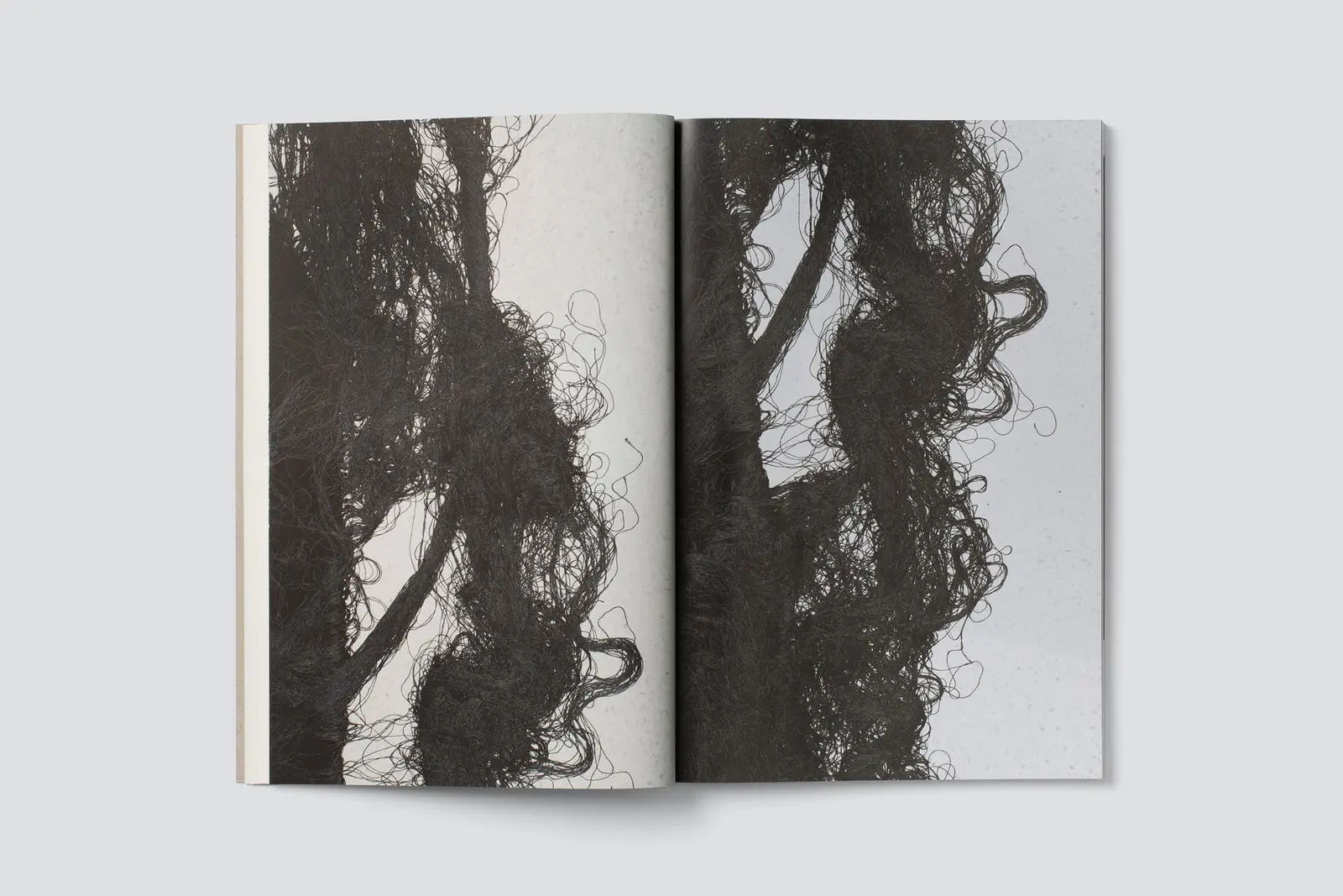 Out of Place image 4