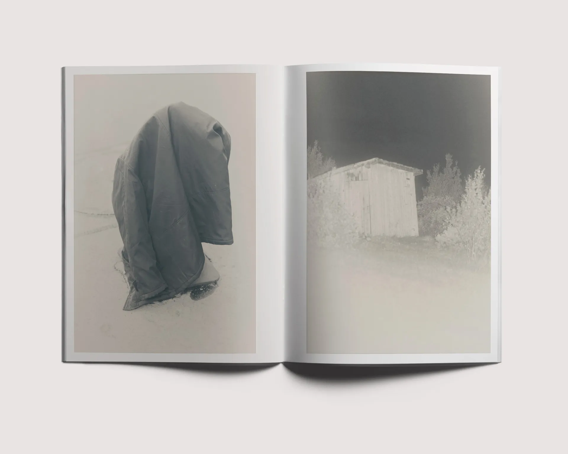 Stains & Ashes image 2