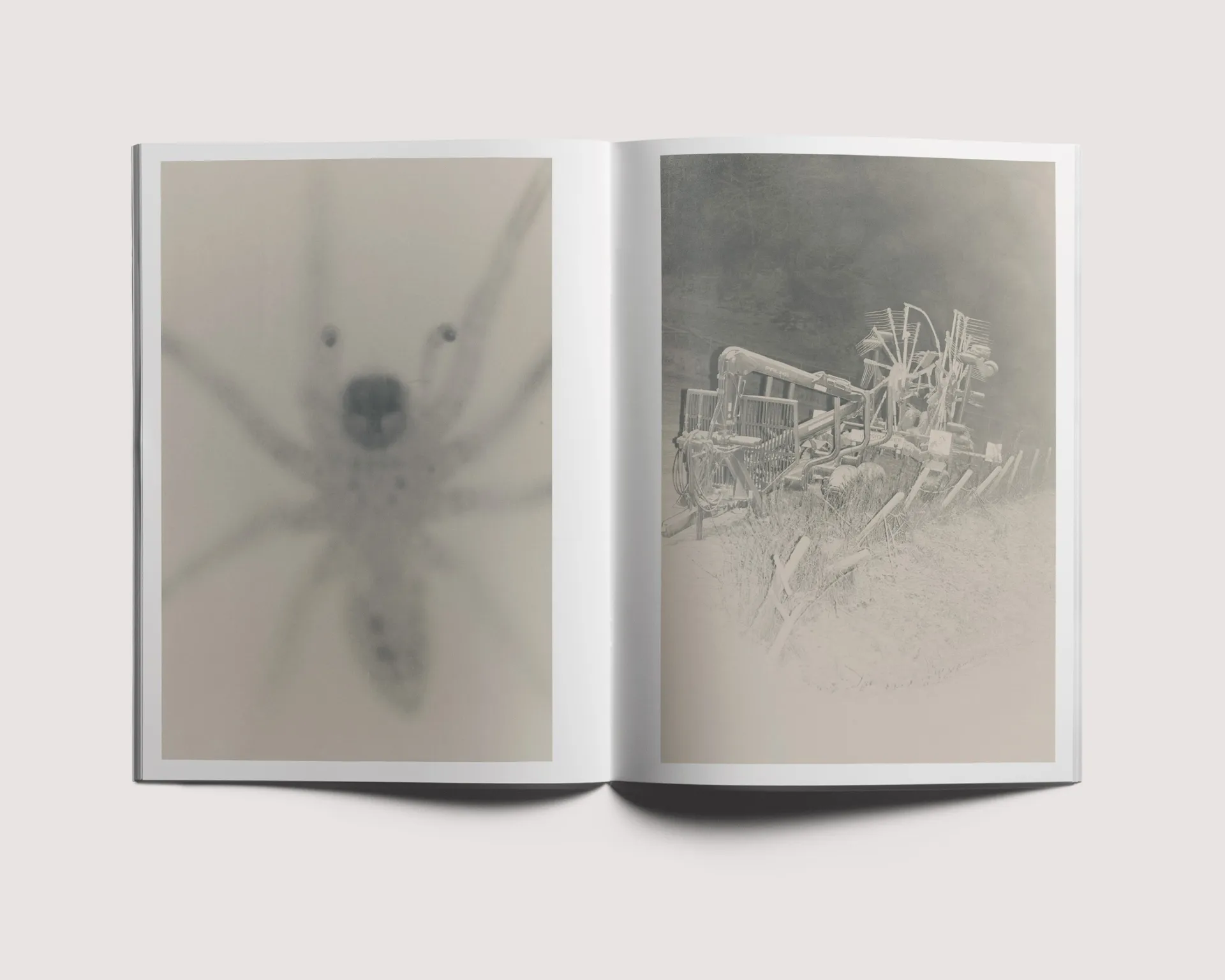 Stains & Ashes image 6