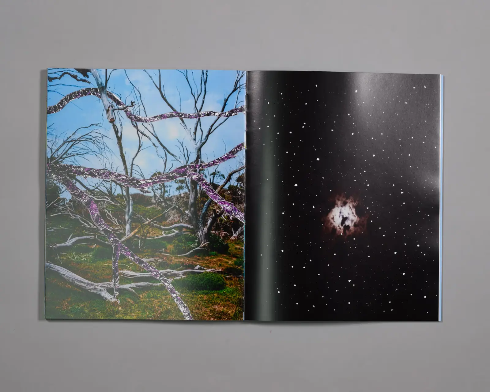 Ambient Pressure image 4