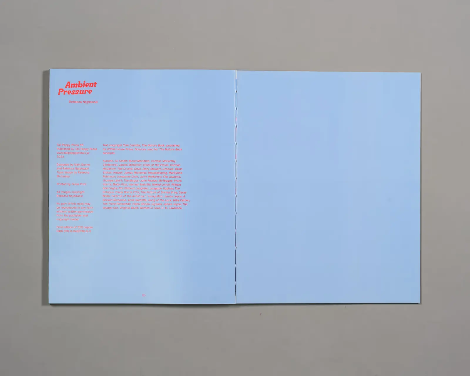 Ambient Pressure image 5