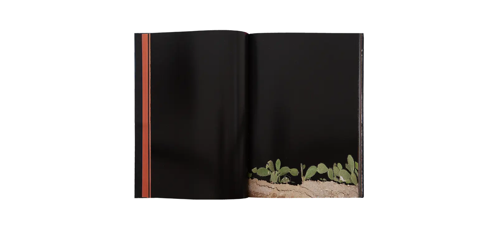 Mons Ferratus image 4