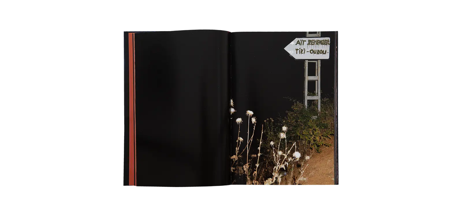 Mons Ferratus image 5