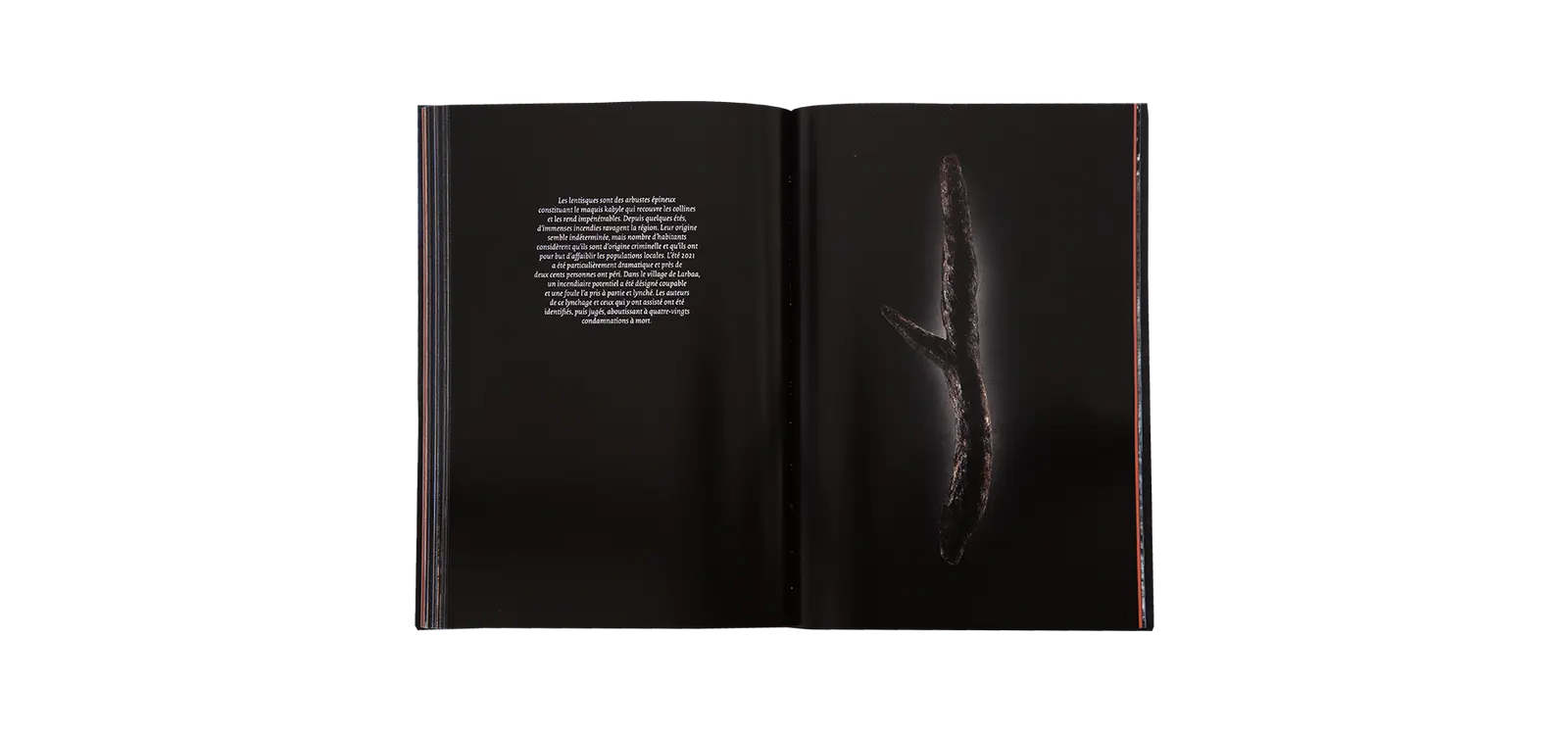 Mons Ferratus image 8