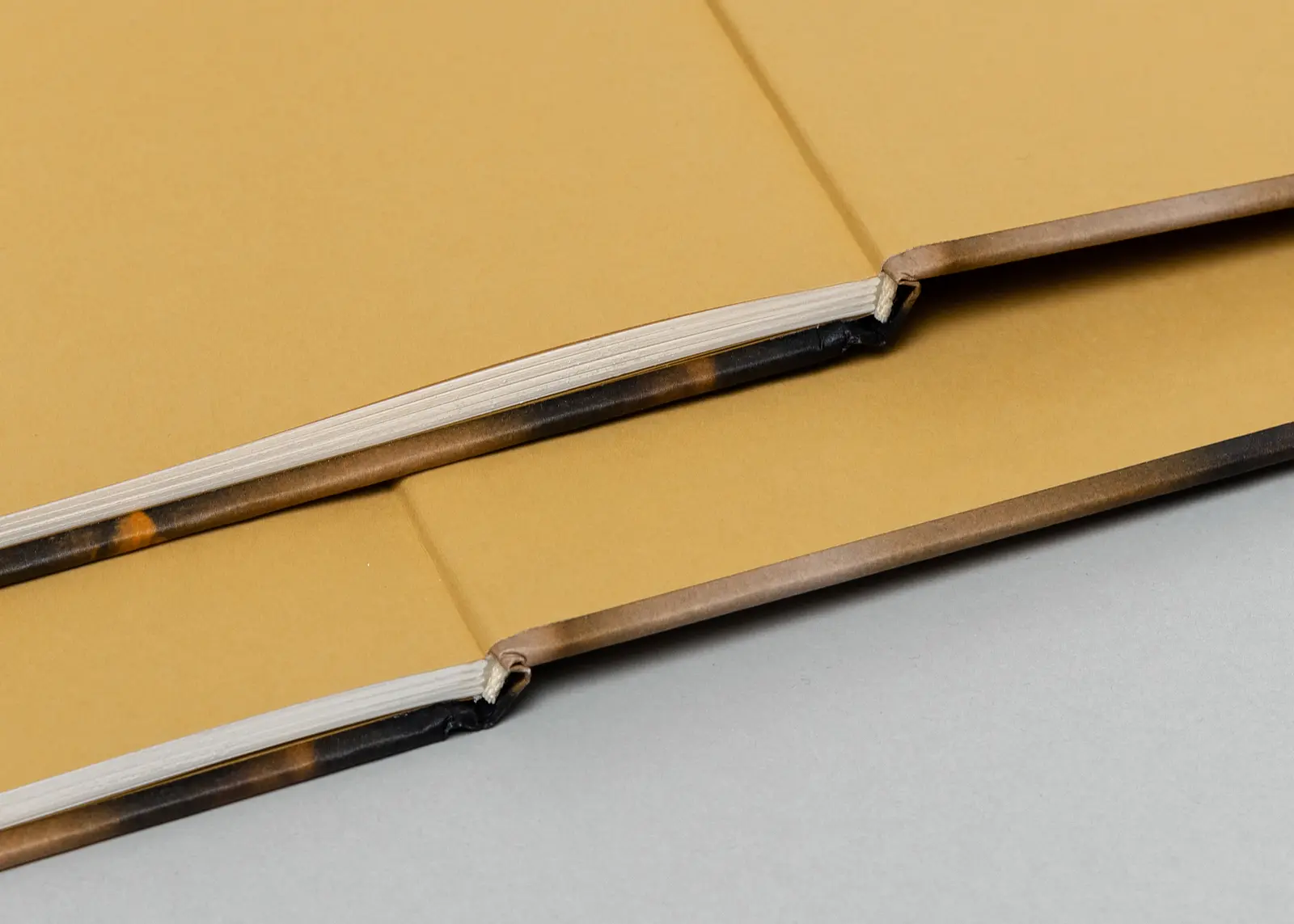 Behind Glass image 3