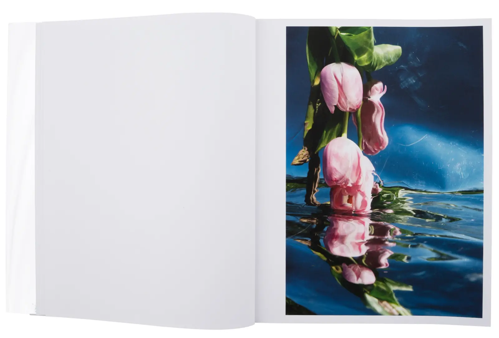 Self Reflection image 4