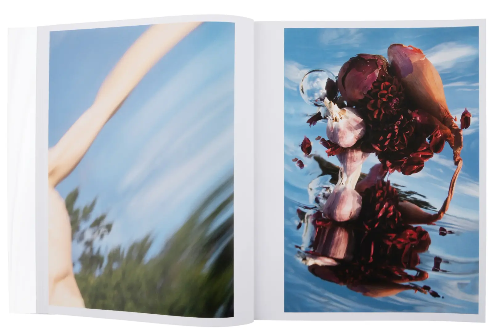 Self Reflection image 7