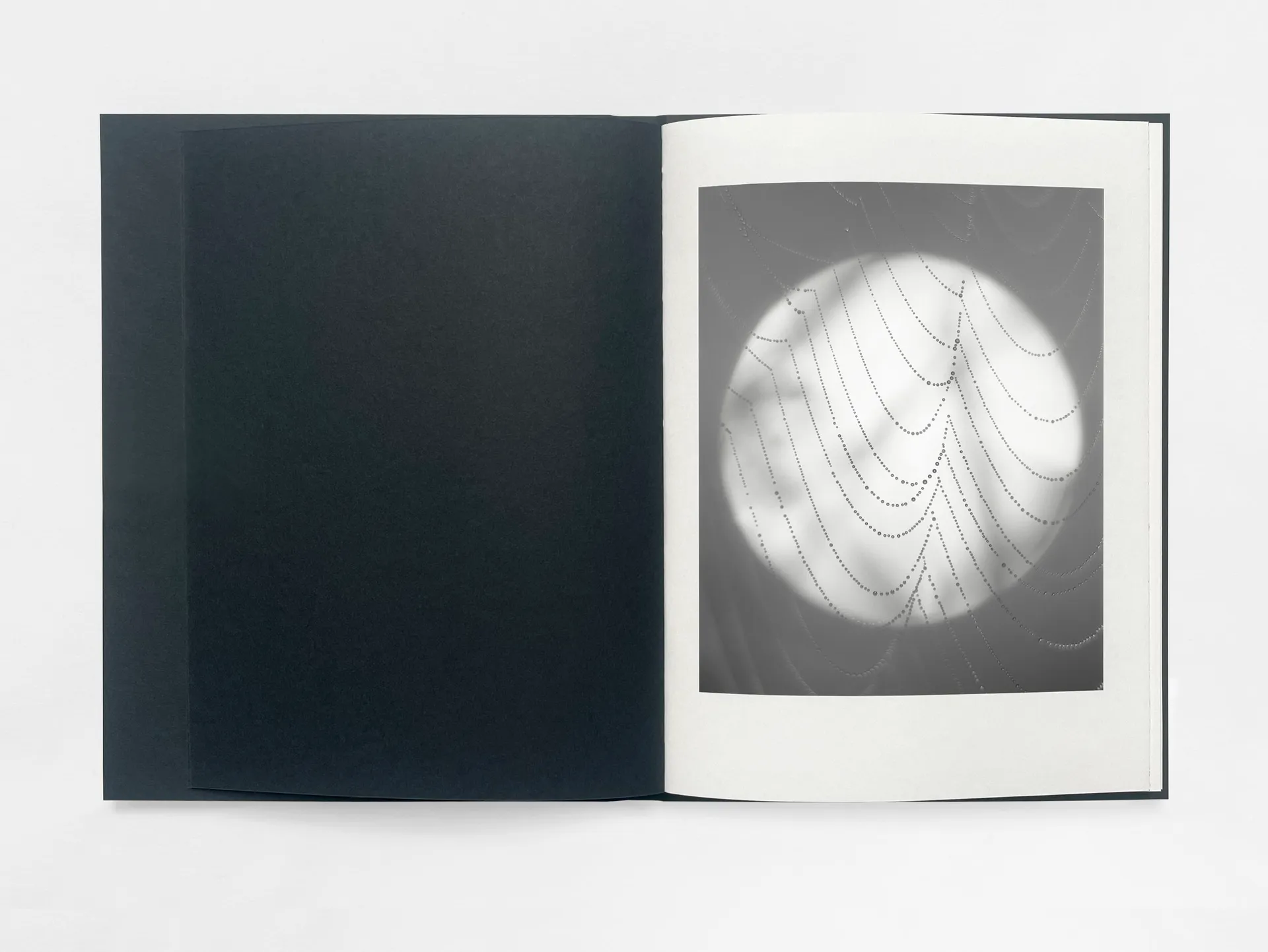 Gathering Light image 2