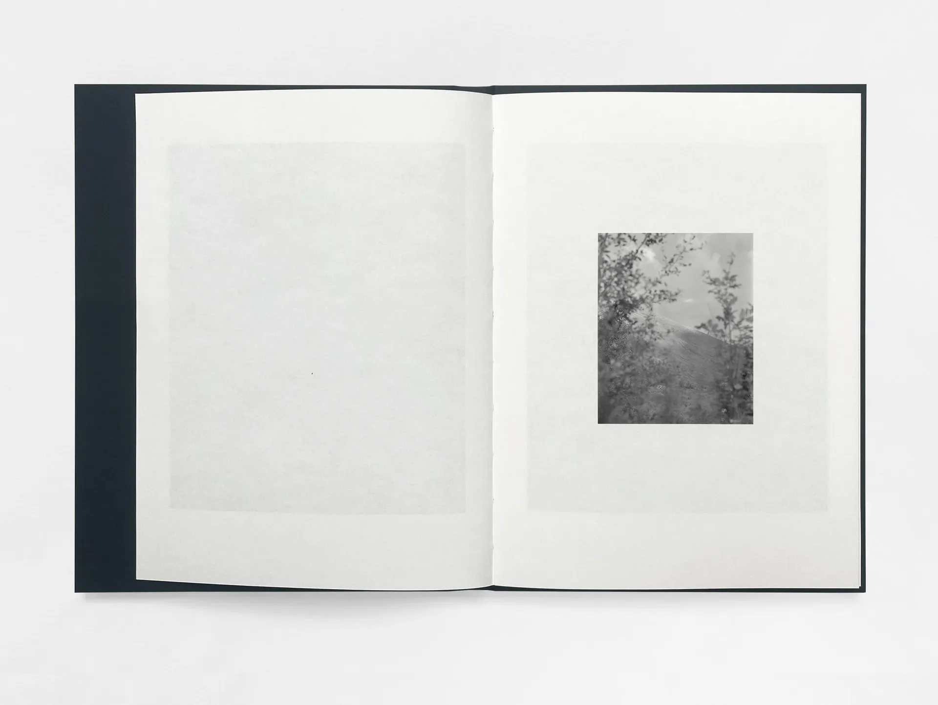 Gathering Light image 3