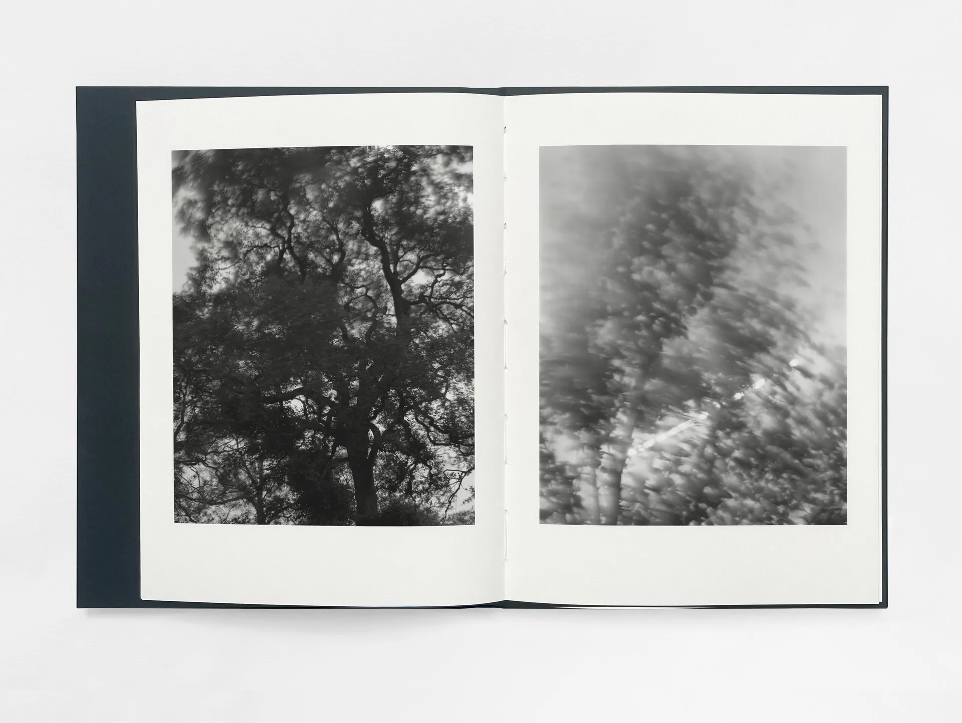 Gathering Light image 4