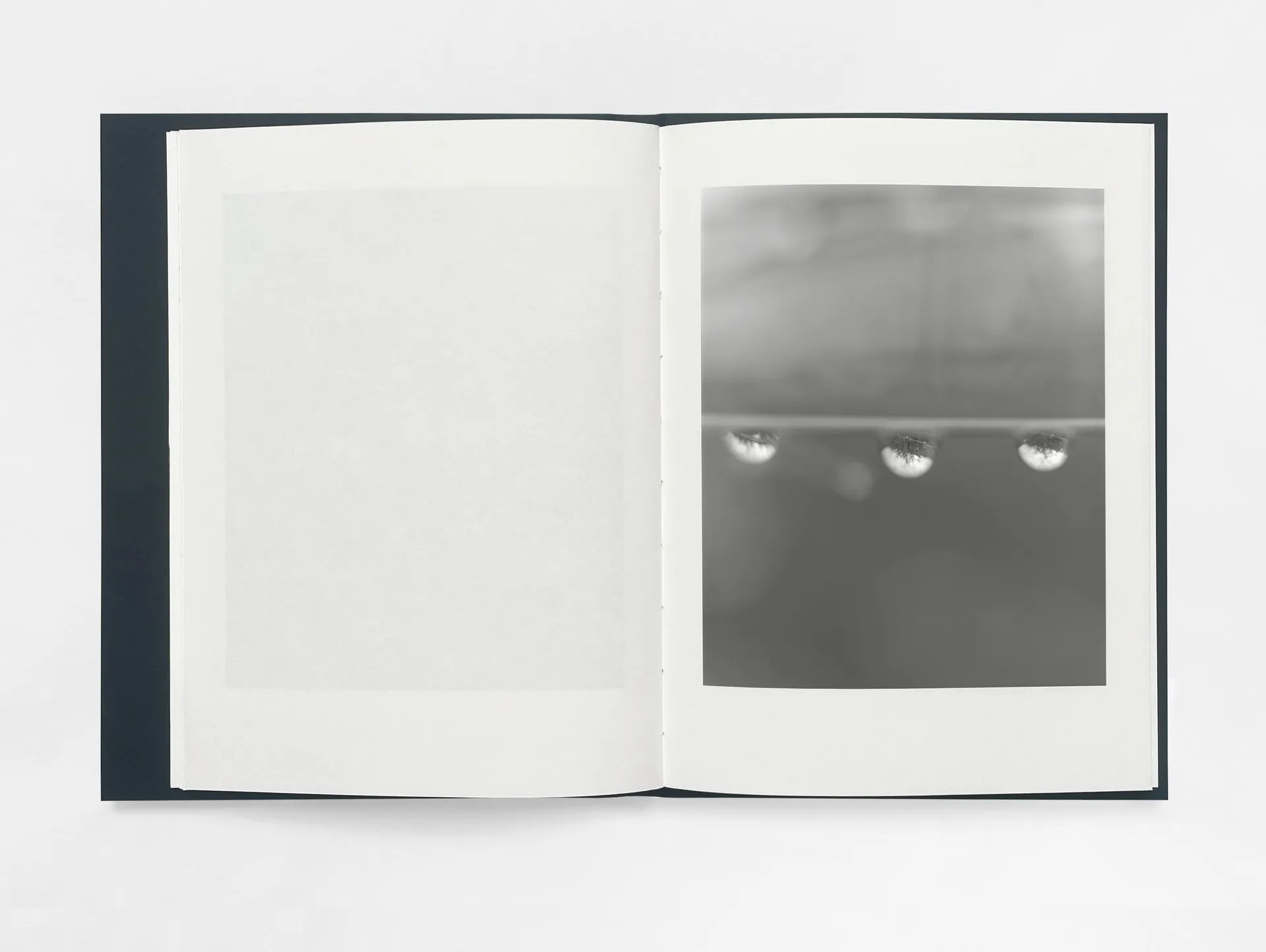 Gathering Light image 5