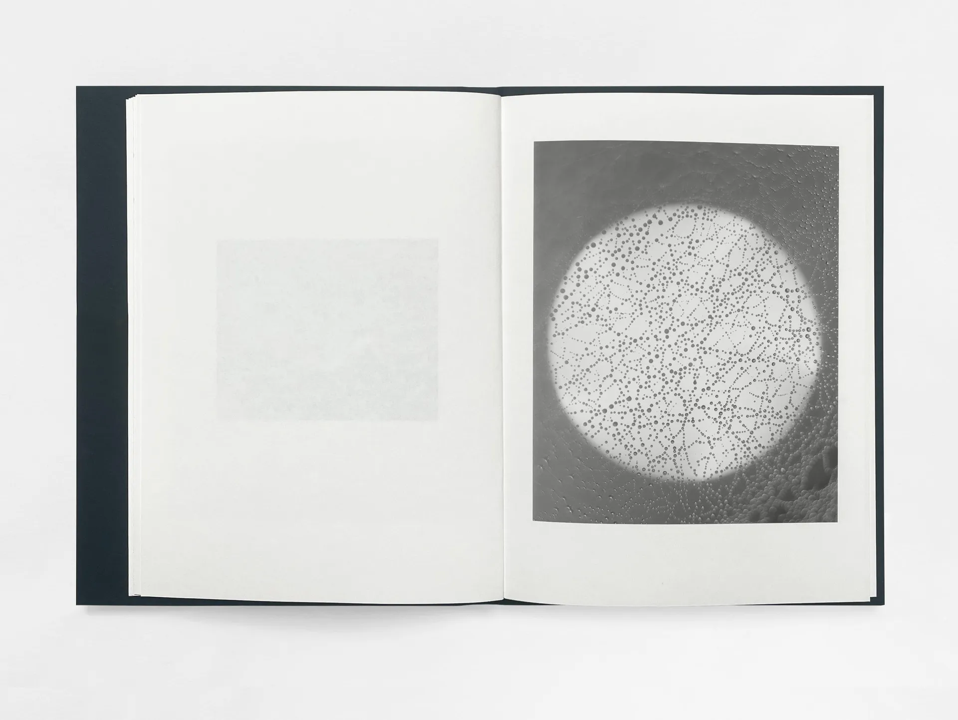 Gathering Light image 6