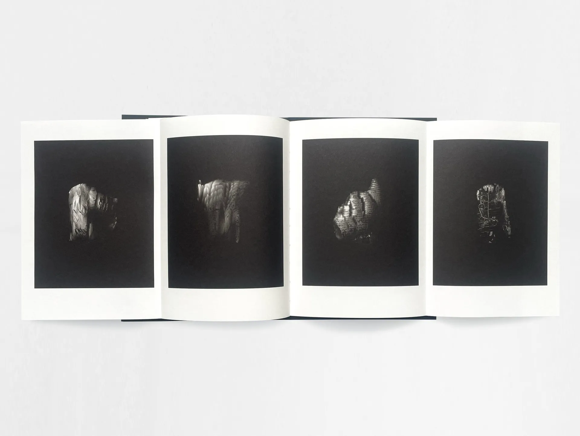 Gathering Light image 7