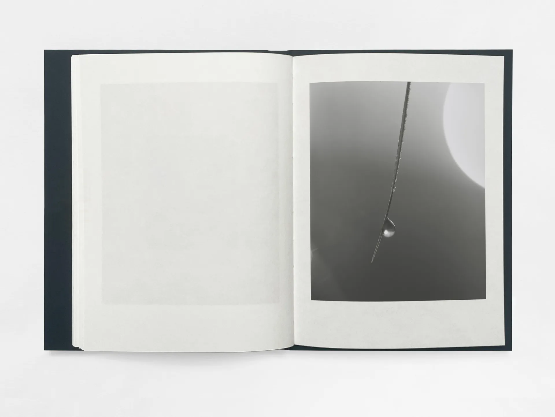 Gathering Light image 10