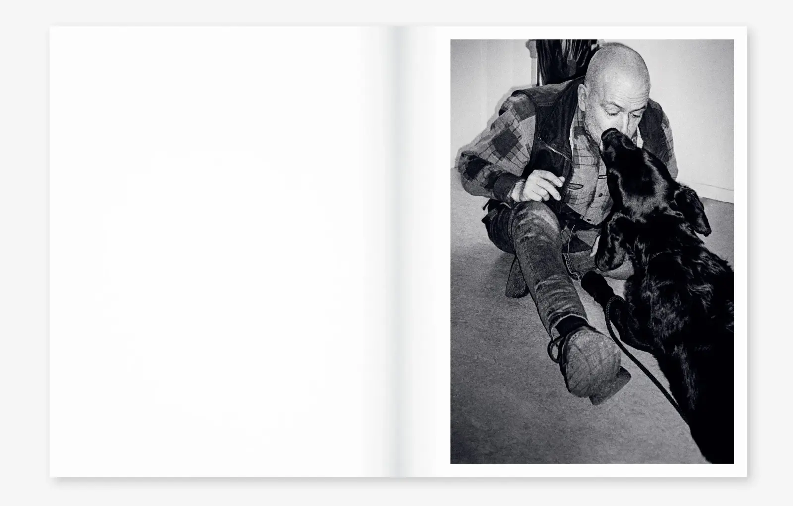 Filling in the Gaps image 7