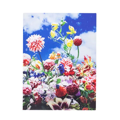 Atelier Ricken Backer