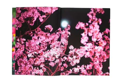 Atelier Ricken Backer image 2