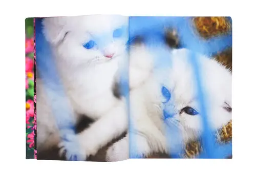 Atelier Ricken Backer image 3