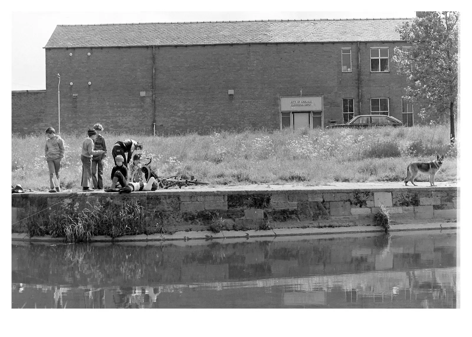 Carlisle 1978–1979 image 9