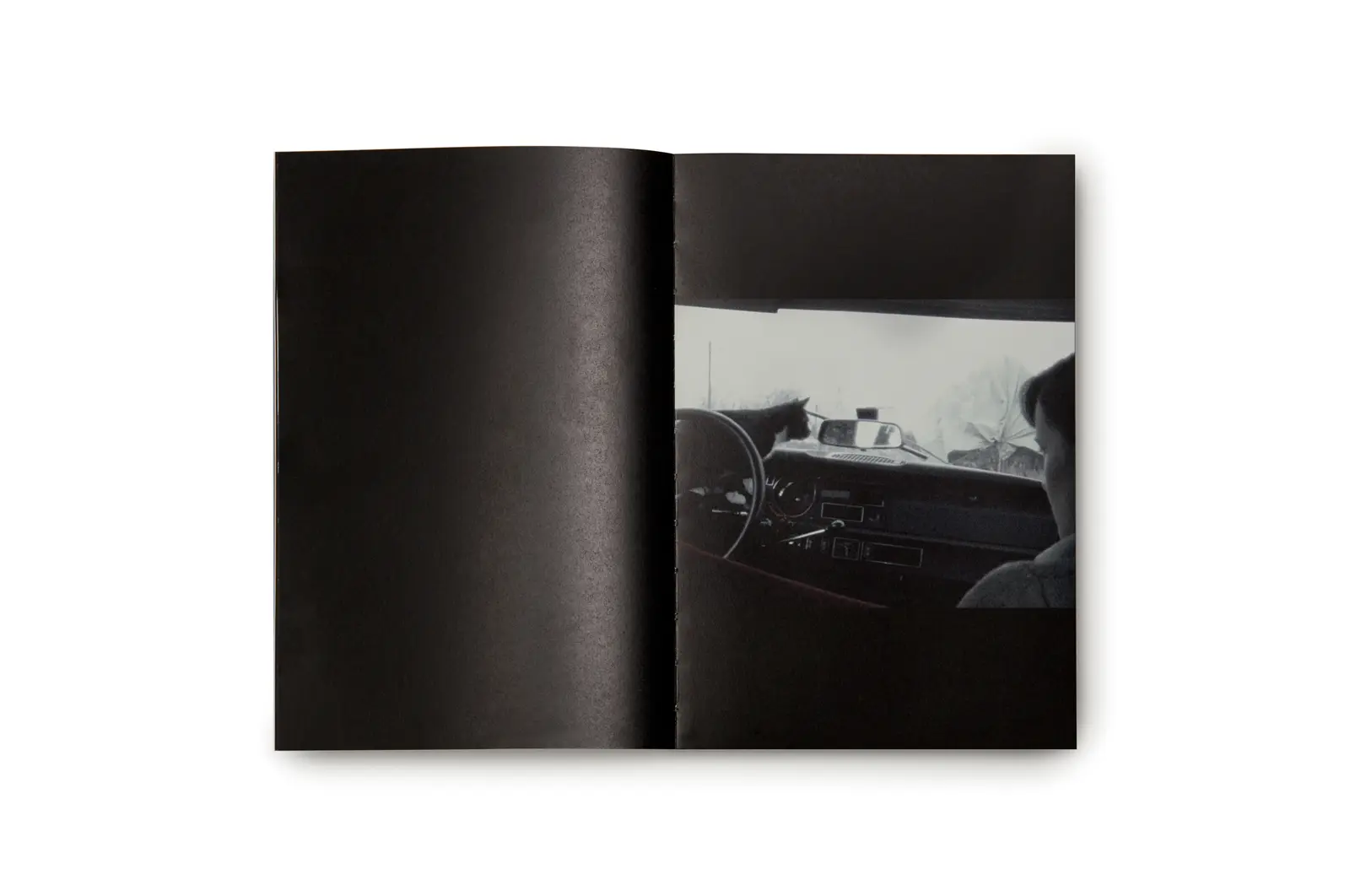 First Trip to Bologna 1978 / Last Trip to Venice 1985 image 2