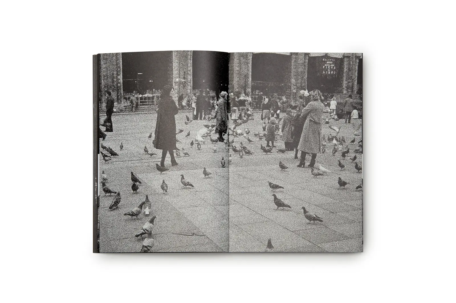 First Trip to Bologna 1978 / Last Trip to Venice 1985 image 5