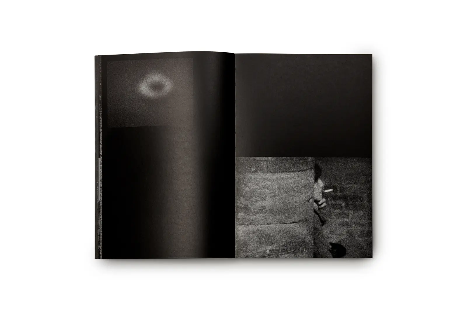 First Trip to Bologna 1978 / Last Trip to Venice 1985 image 6