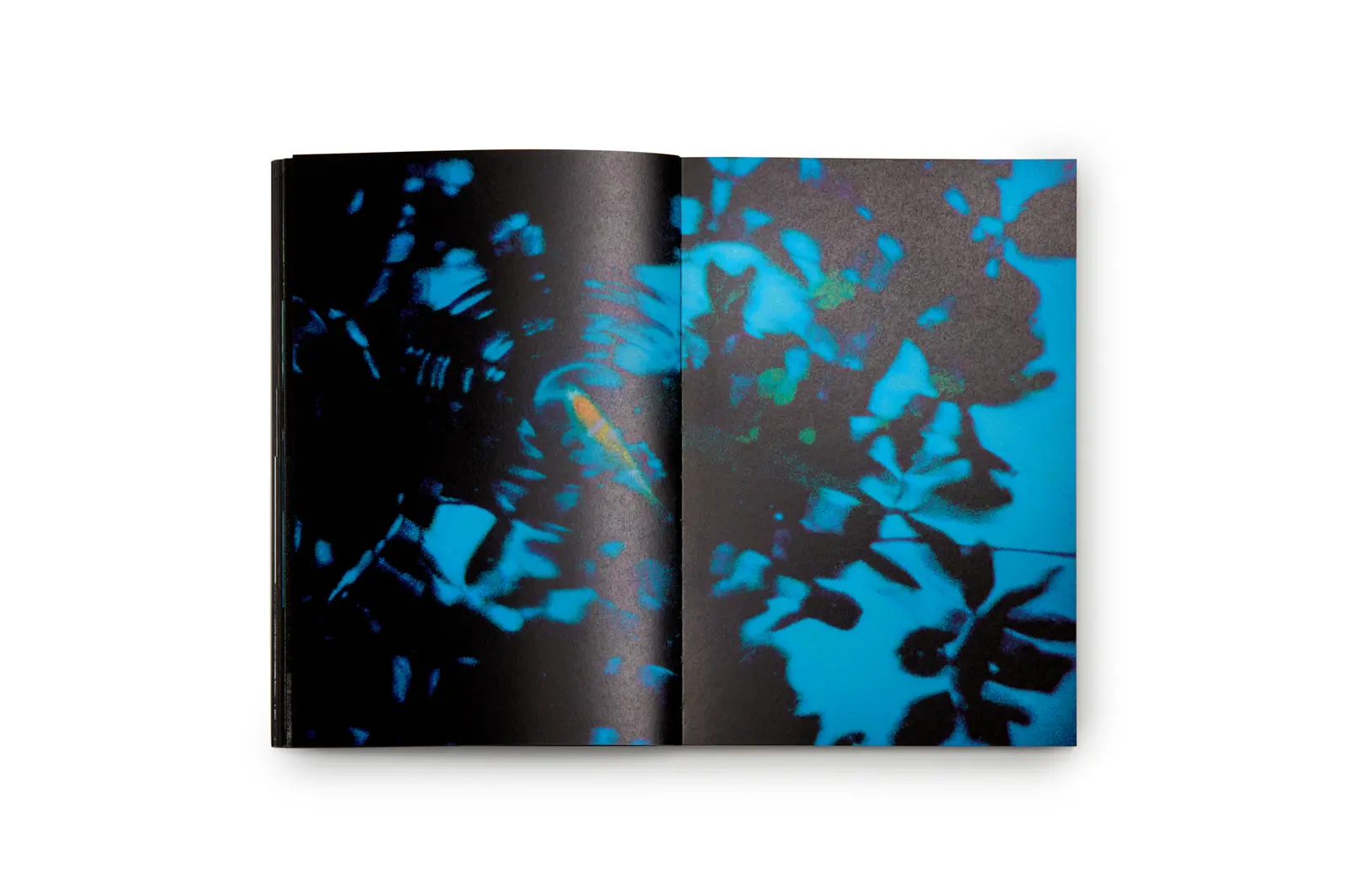 First Trip to Bologna 1978 / Last Trip to Venice 1985 image 9