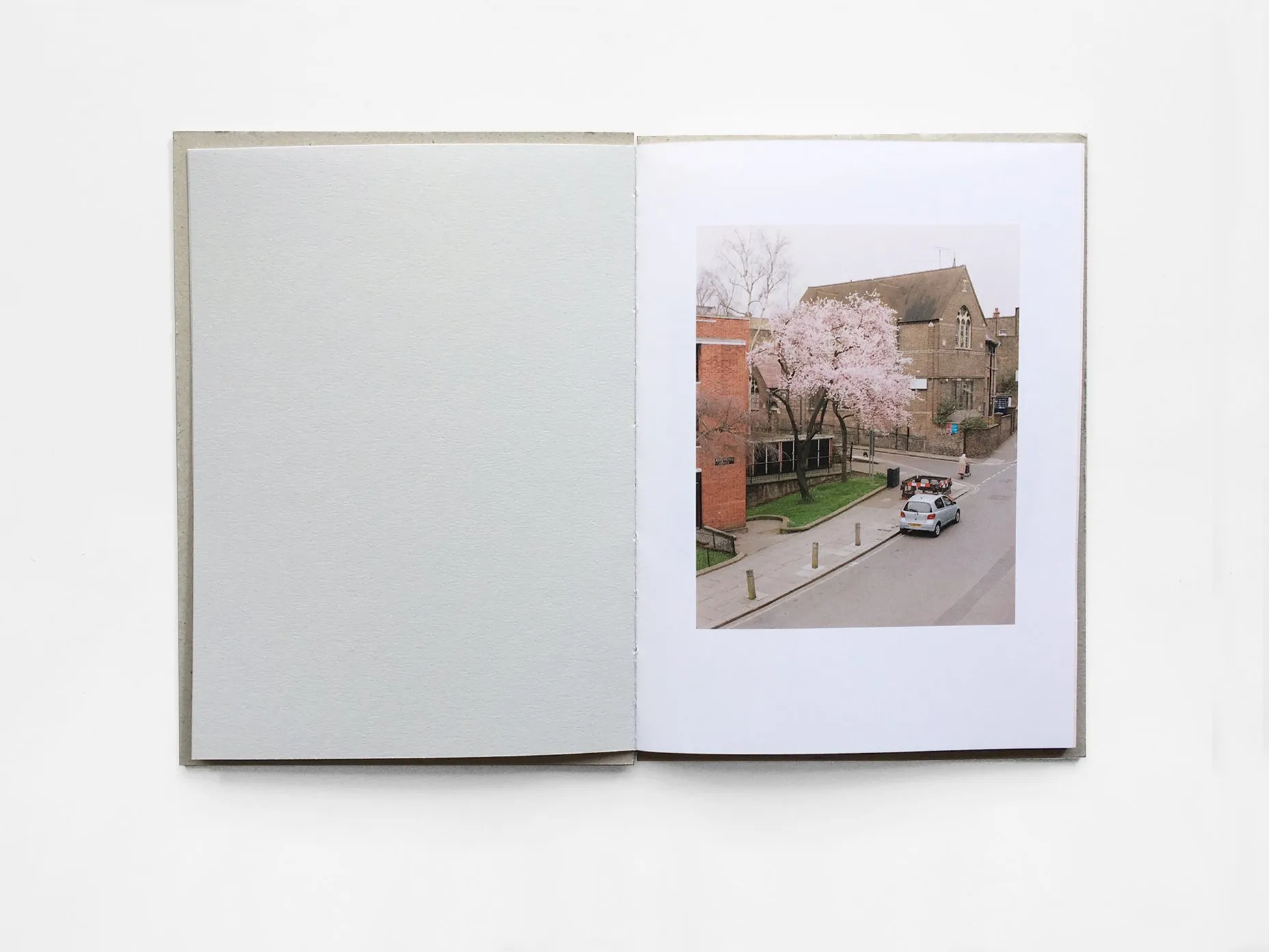 Kilburn Cherry image 2