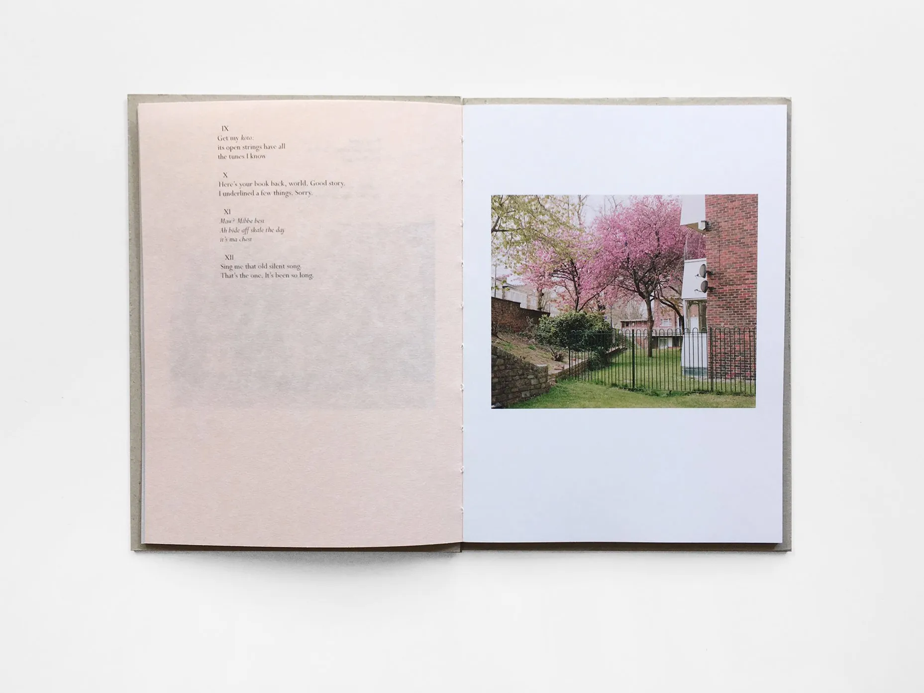 Kilburn Cherry image 3