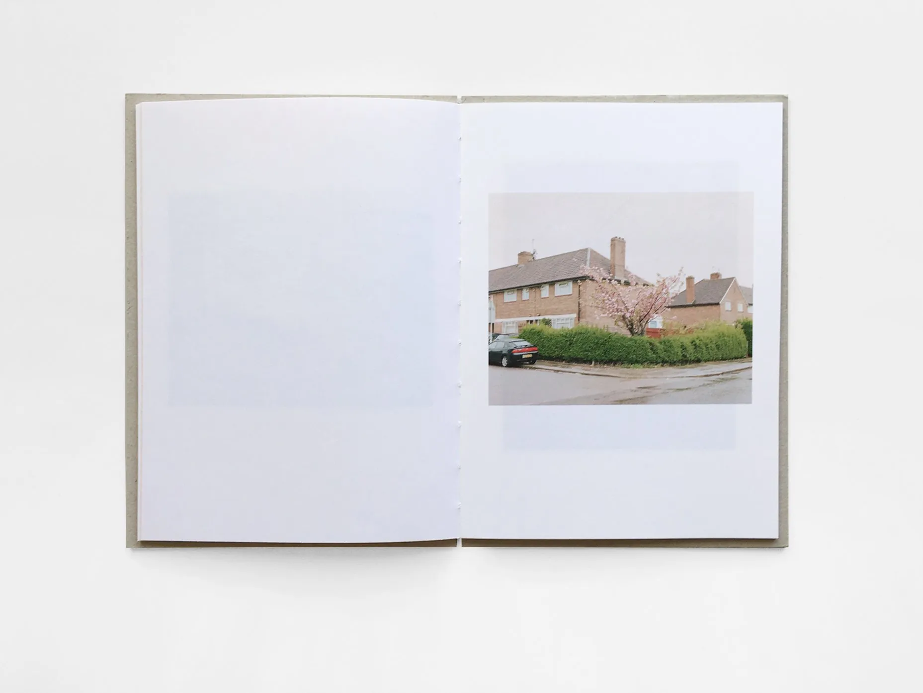 Kilburn Cherry image 6