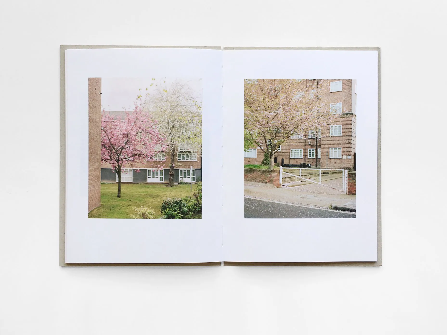 Kilburn Cherry image 7