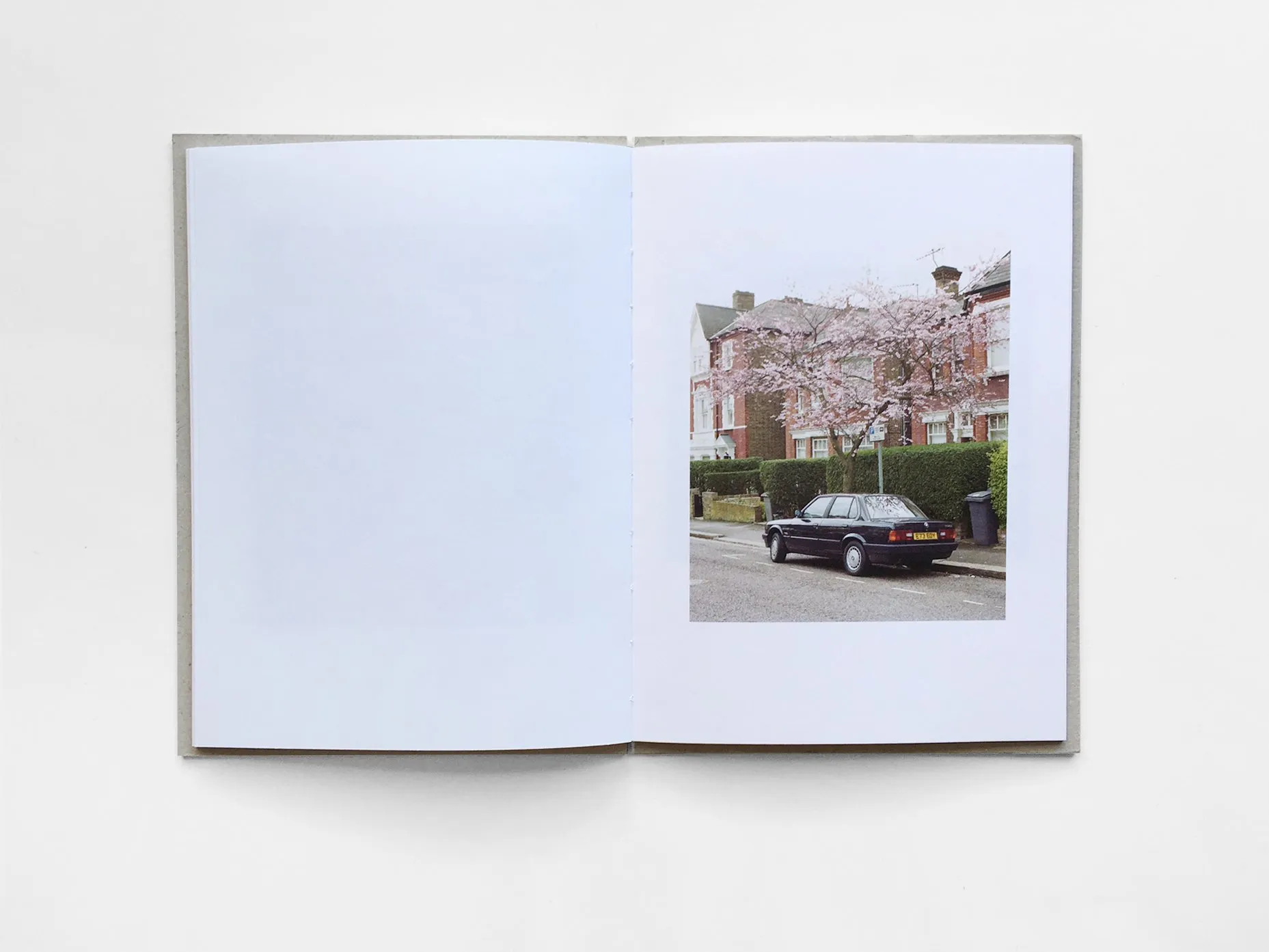 Kilburn Cherry image 8