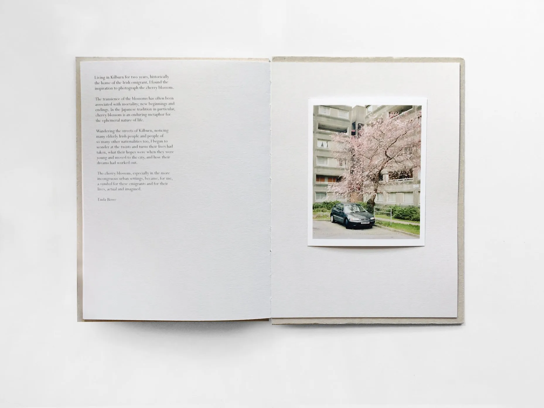 Kilburn Cherry image 9