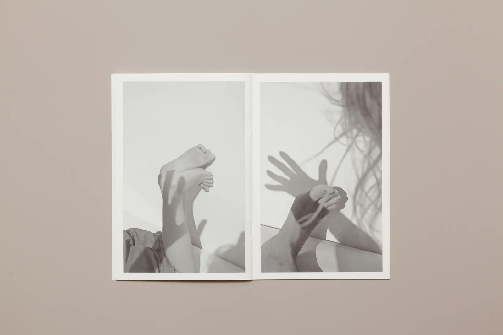 A Day in the Life of... image 5