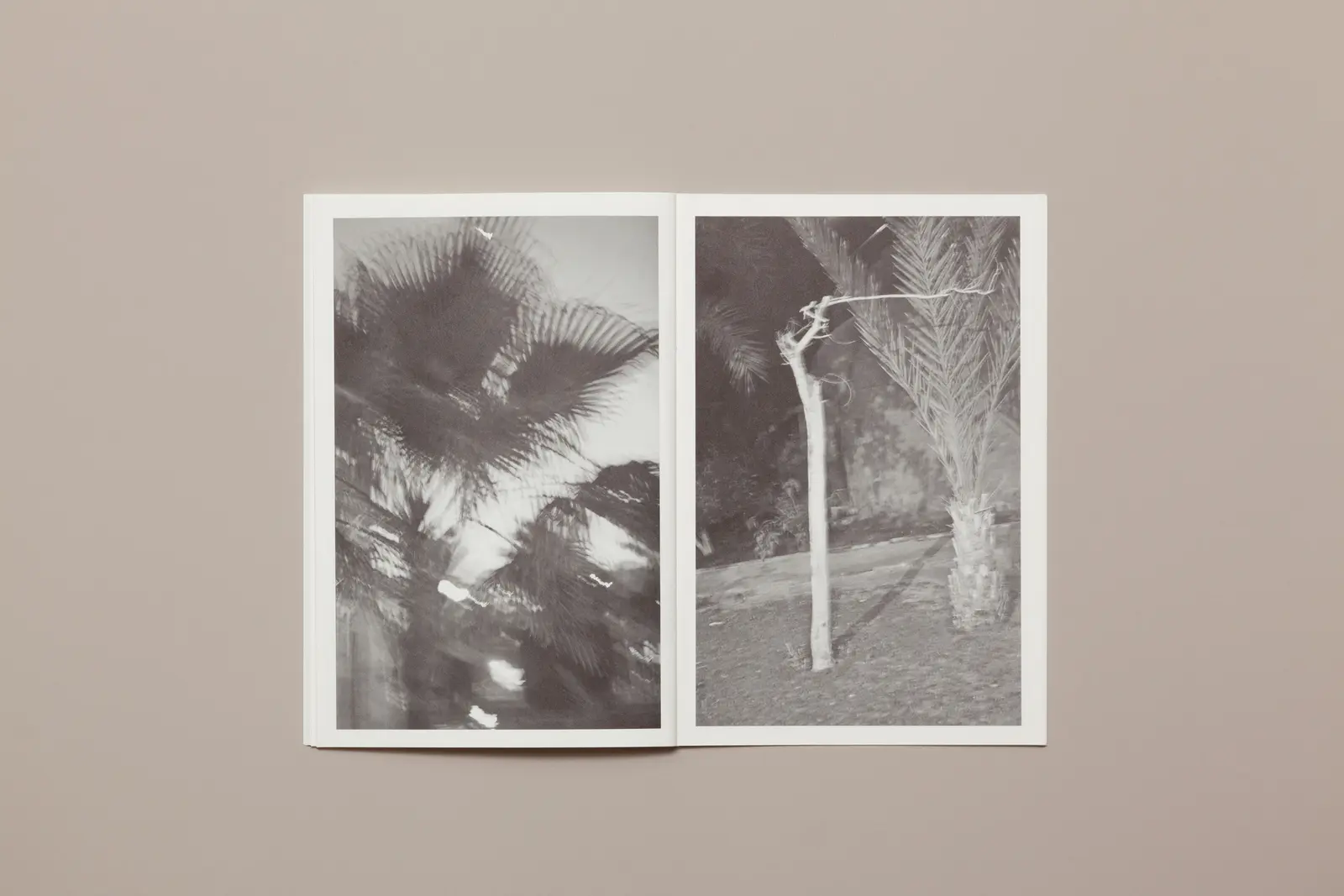 A Day in the Life of... image 6