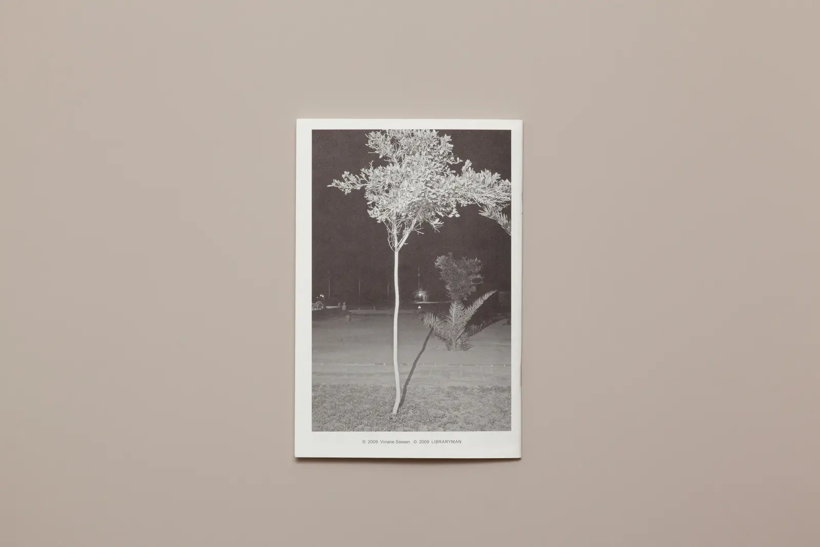 A Day in the Life of... image 7