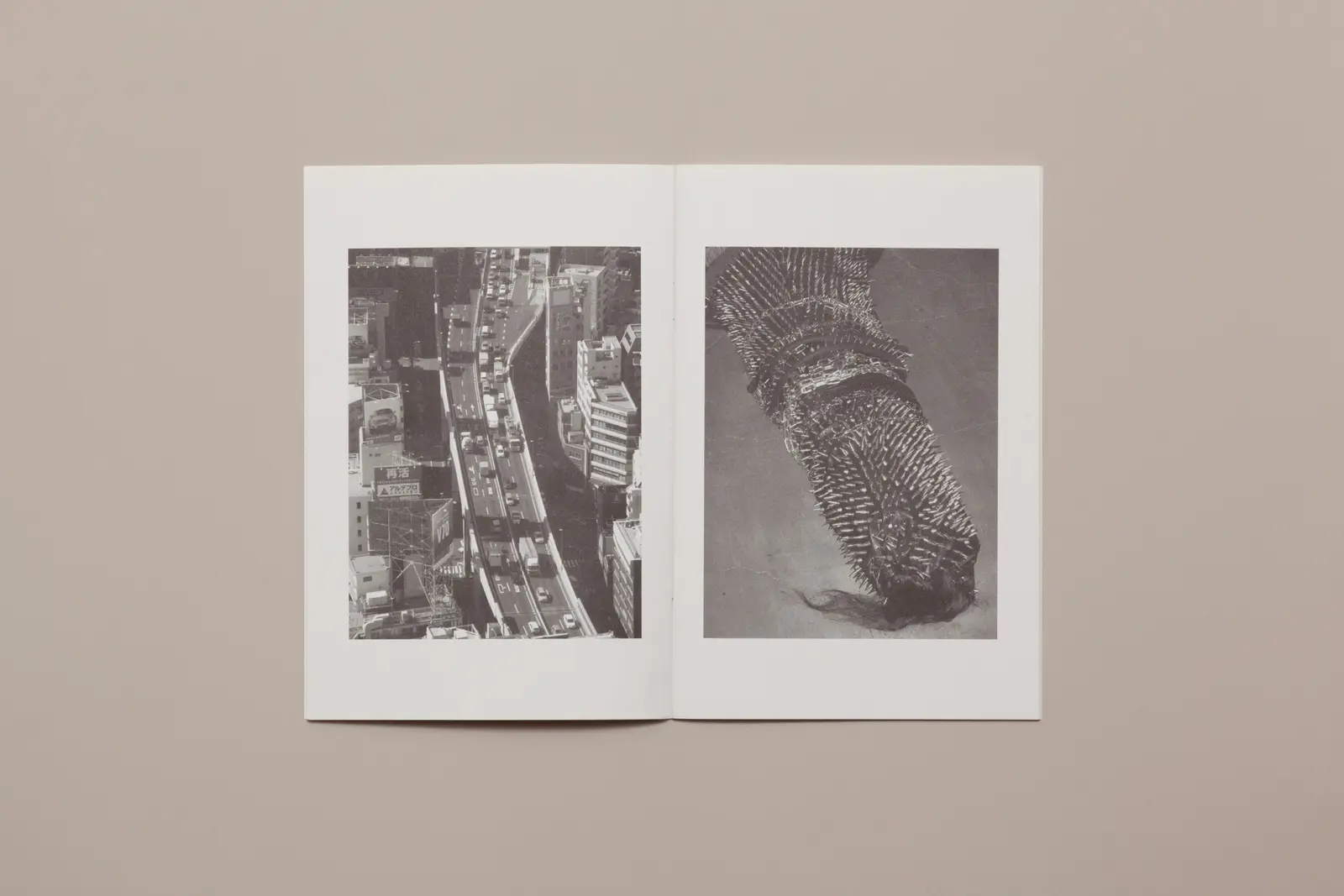 A Day in the Life of... image 3