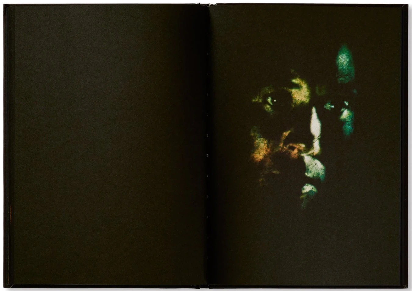 Família Aeminium image 6