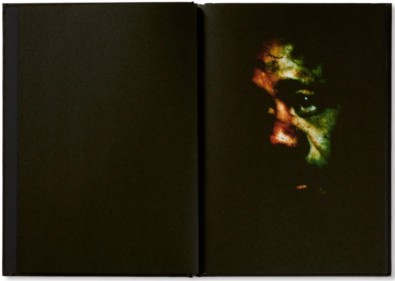 Família Aeminium image 2