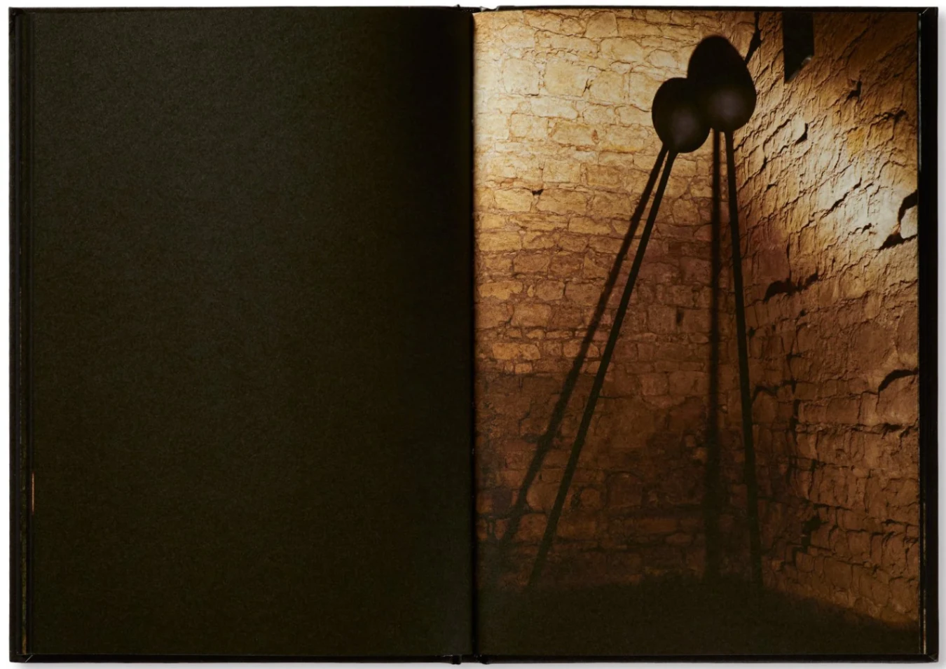 Família Aeminium image 4